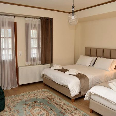 Nuca Guesthouse Μέτσοβο Εξωτερικό φωτογραφία