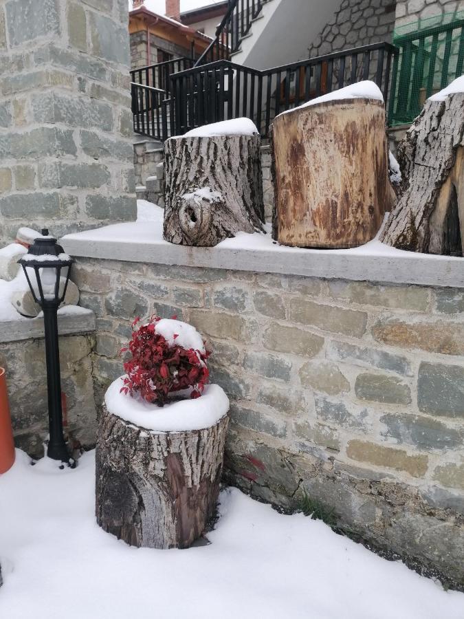 Nuca Guesthouse Μέτσοβο Εξωτερικό φωτογραφία