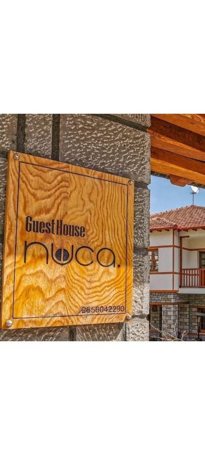 Nuca Guesthouse Μέτσοβο Εξωτερικό φωτογραφία