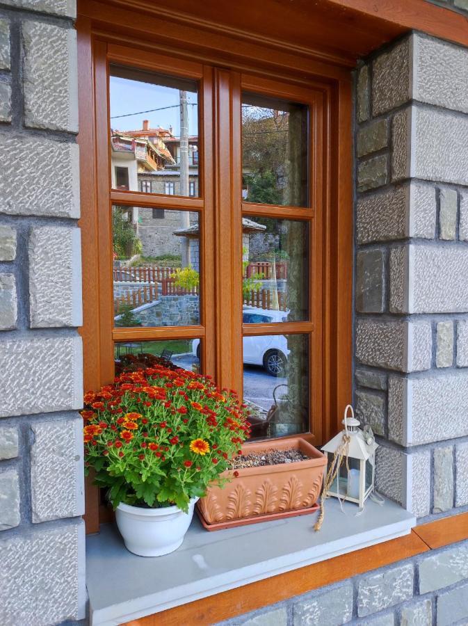 Nuca Guesthouse Μέτσοβο Εξωτερικό φωτογραφία