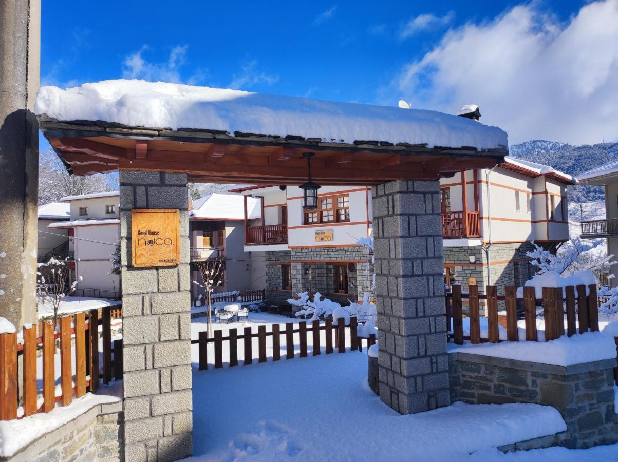Nuca Guesthouse Μέτσοβο Εξωτερικό φωτογραφία